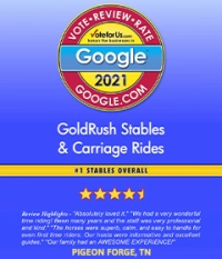goldrush-stables-google-1-stables