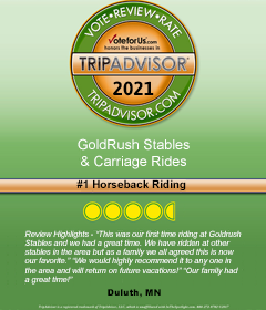 goldrush-stables-google-number-1-stable